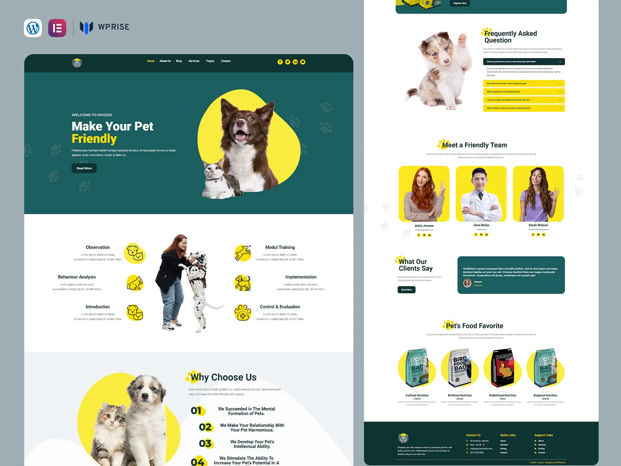 Enova - Pet Training Elementor Template